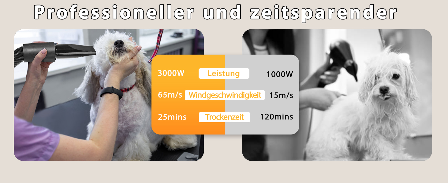 Фен для собак Blower 3000W, тихий, з регулюванням швидкості, 4 насадки, синій
