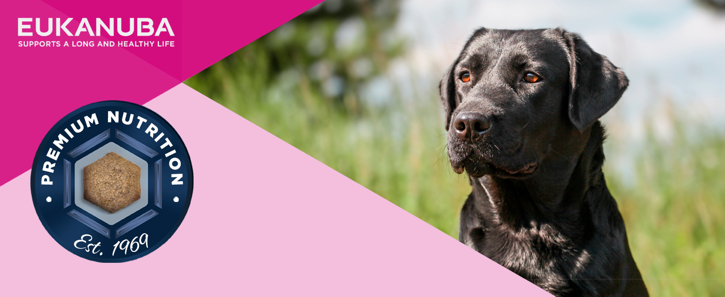 Сухий корм для собак великих порід Eukanuba Adult з куркою, преміум-клас, 15 кг