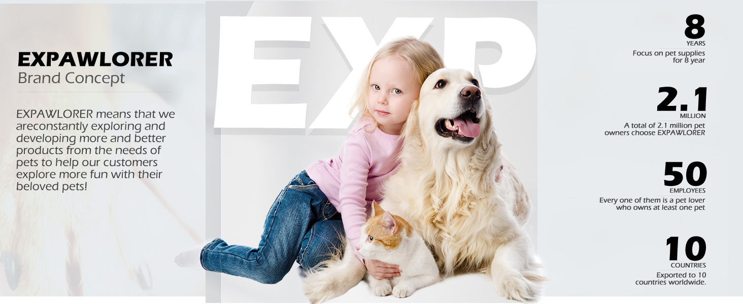 Нашийник для котів ExPawlorer з дзвіночком та стразами, м'який оксамит, безпечний, регульований, для котів та маленьких собак, 2 шт. (чорний та фіолетовий), 9'-12'