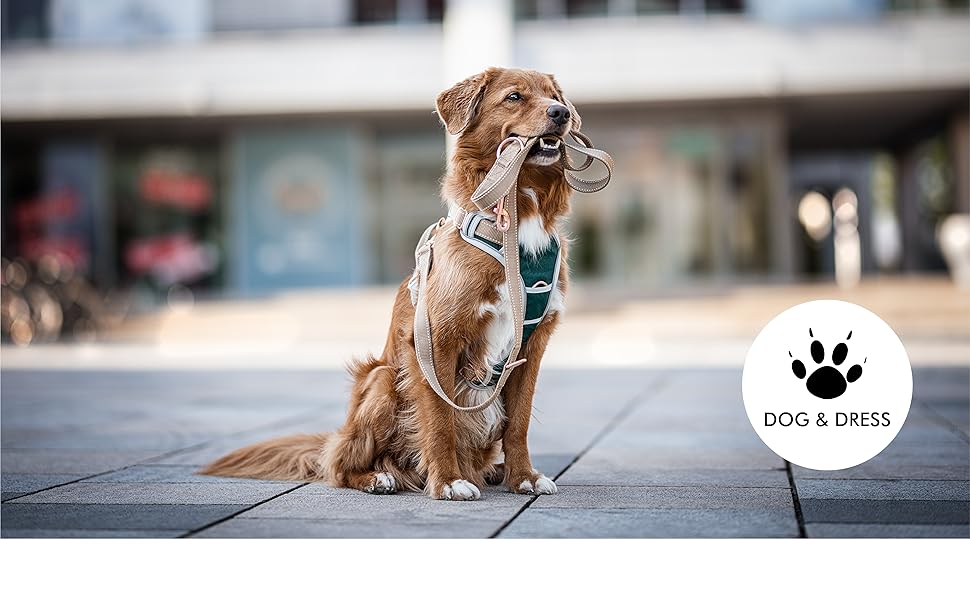 Набір повідка та шлейки для собак – дихаючий, регульований, з м'якою підкладкою та світловідбиваючими елементами – для великих та середніх собак (Синій, XL (76-101 см обхват грудей))