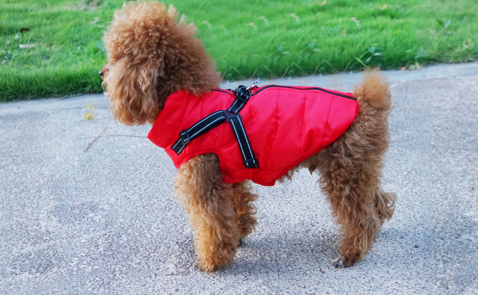 Зимовий теплий водонепроникний одяг для собак Eastlion - куртка для цуценят та собак, жилет з кільцем D, червоний, розмір M