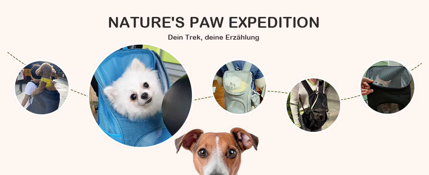 Рюкзак для котів та маленьких собак ALLSOPETS, переноска для тварин з прозорою верхньою частиною, складний, для подорожей (Світло-блакитний, S)