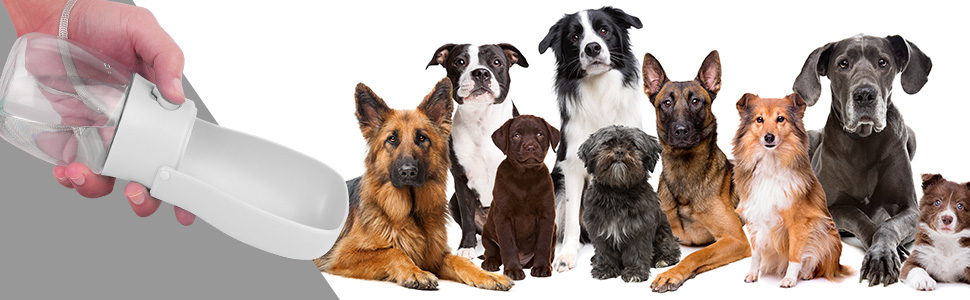 Складана пляшка для води для собак, з контейнером для відходів, для прогулянок, подорожей, хатніх тварин