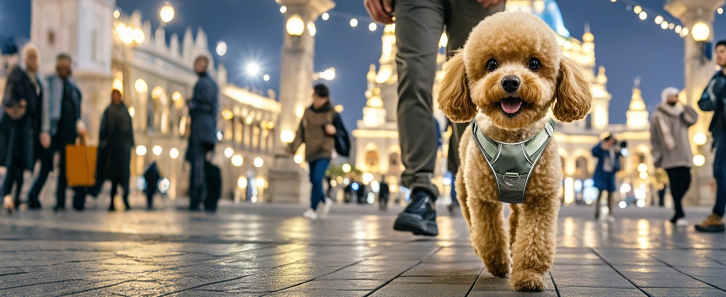Шлейка для собак TSPRO з тримачем AirTag, регульована нагрудна стрічка для маленьких собак, з зручною ручкою, міцна та світловідбиваюча для прогулянок, бігу, тренувань (Зелена, розмір 2) Розмір 2 (обхват шиї 28.5-42 см, обхват грудей 42-53 см) Зелений