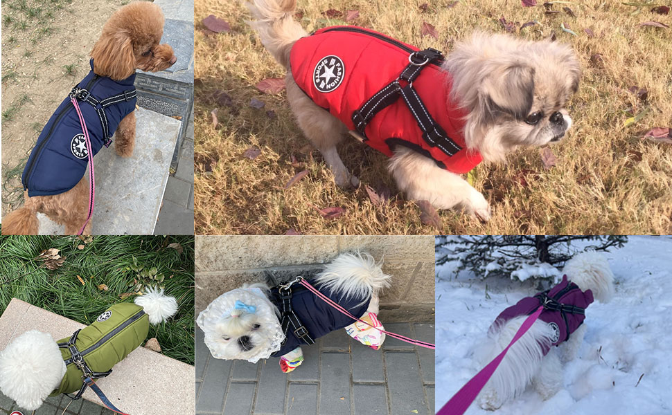 Водонепроникний теплий зимовий одяг для собак, куртка для собак малих, середніх та великих порід, чорний (6.5-9 кг)