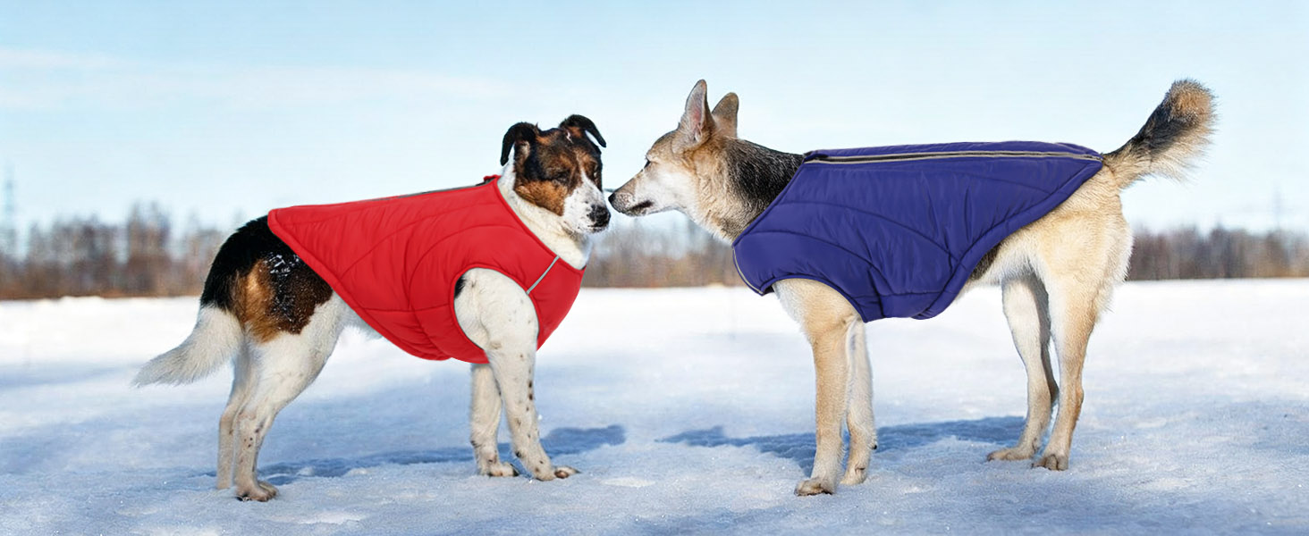 Водонепроникна куртка для собак - тепла зимова модель з блискавкою для малих, середніх та великих собак. Синій колір, розмір S.