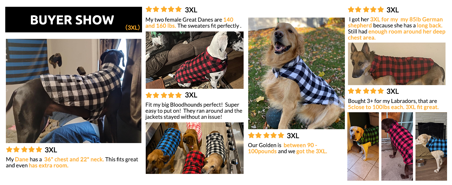 Зимовий теплий дощовик для собак XS, флісова куртка, дощовик для собак, 2 в 1, водонепроникний, вітрозахисний, з отвором для повідка, зелений