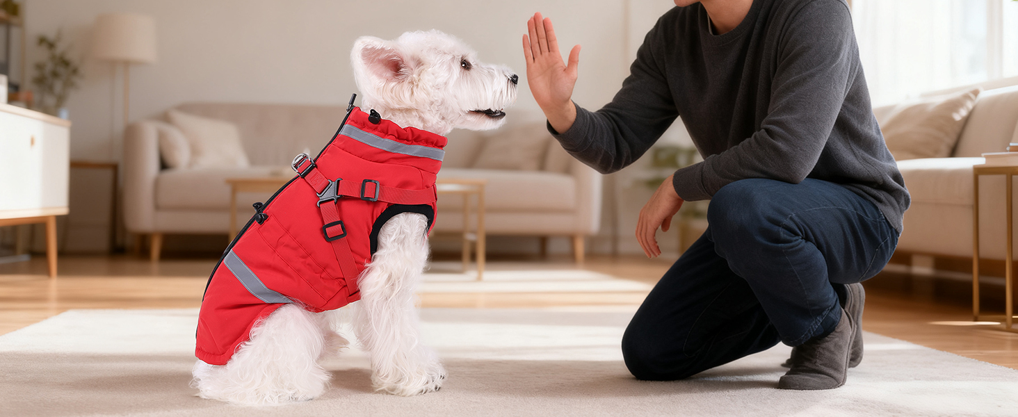 Водонепроникний зимовий одяг для собак та котів Poseca, червоний, XS