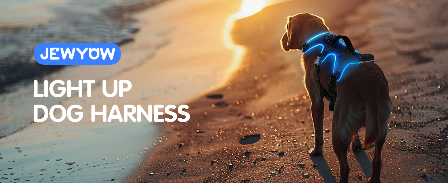 Світловідбиваючий нашийник для собак з LED підсвічуванням, перезаряджуваний, з м'якою ручкою, 3 регульовані розміри, водонепроникний, для середніх та великих собак, зелений (блакитний, XL)