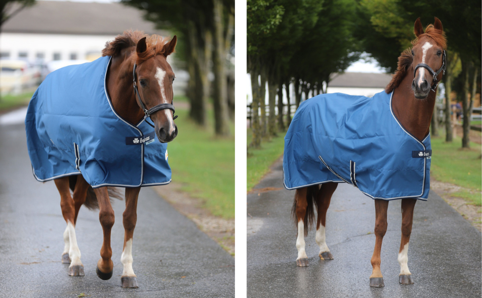 Водонепроникна попона для лошадей Marengos by Bucas Freedom Turnout 600D, демісезонна накидка з підкладкою та перехресними ременями, бордовий/темно-синій, 125 см (без наповнювача)