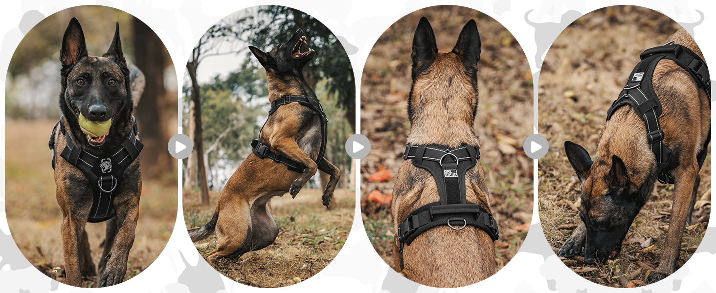 Шлейка для собак OneTigris Diesel, тактична, чорна, розмір L, м'яка підкладка, з ручкою та 3 D-кільцями, для середніх та великих собак