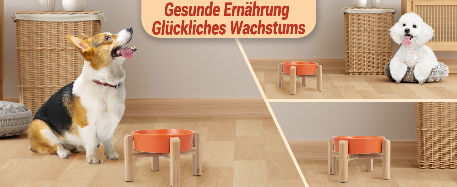 Антислизька годівниця для собак, кераміка, піднята - годівниця для собак на бамбуковому підставці, для повільного годування, для маленьких та середніх собак, білий, діаметр 17 см