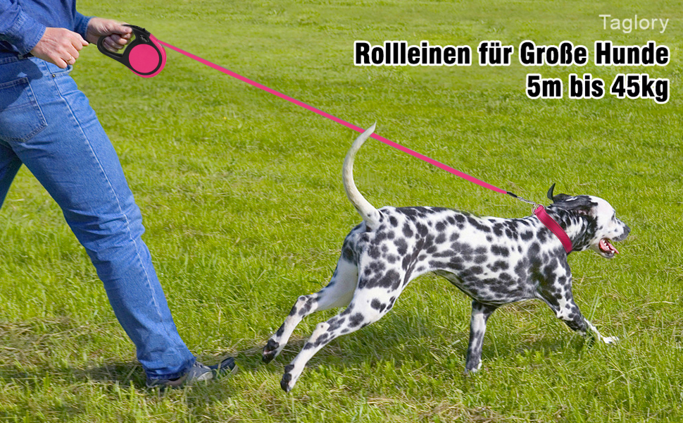 Висувна поводок для собак Taglory, 5м, рожевий, для середніх та великих собак до 45 кг, з надійним гальмом та антиковзним руків'ям