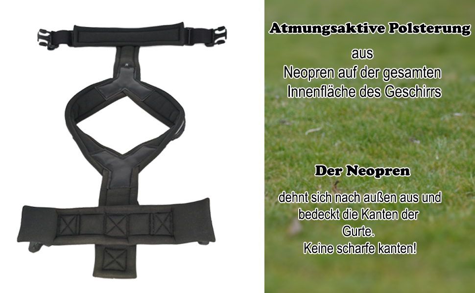 Нашийник для собак ILII - міцний, елегантний та комфортний. Унікальний дизайн для середніх та великих собак. Чорний, мінімальне покриття.