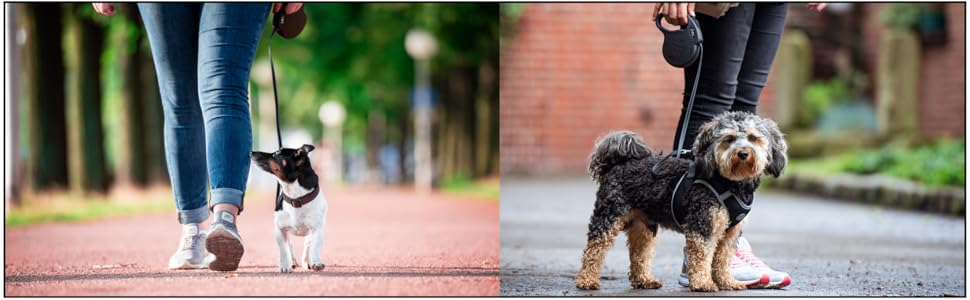 Рулетка для собак DDOXX - міцна, світловідбиваюча, рожева, до 20 кг, 5 м