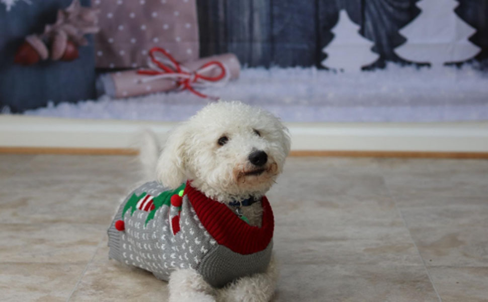 Пуловер для собак ABRRLO, карнавальний костюм клоуна, теплий зимовий халат, бавовна, XL