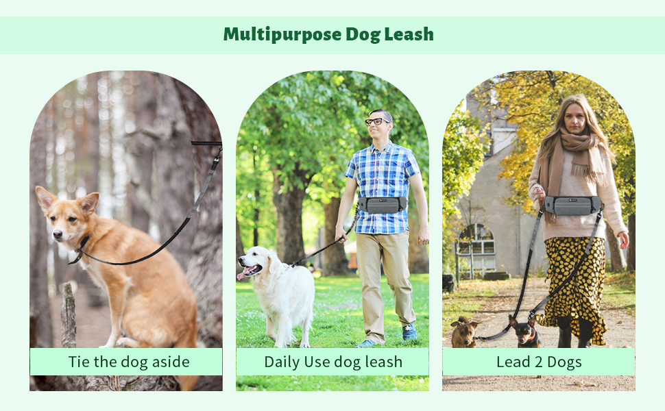 Лекарська сумка для собак, поясна сумка для аксесуарів, мішок для ласощів з дозатором кульок для вигулу, прогулянок та дресирування (Сірий, з 1 повідком)