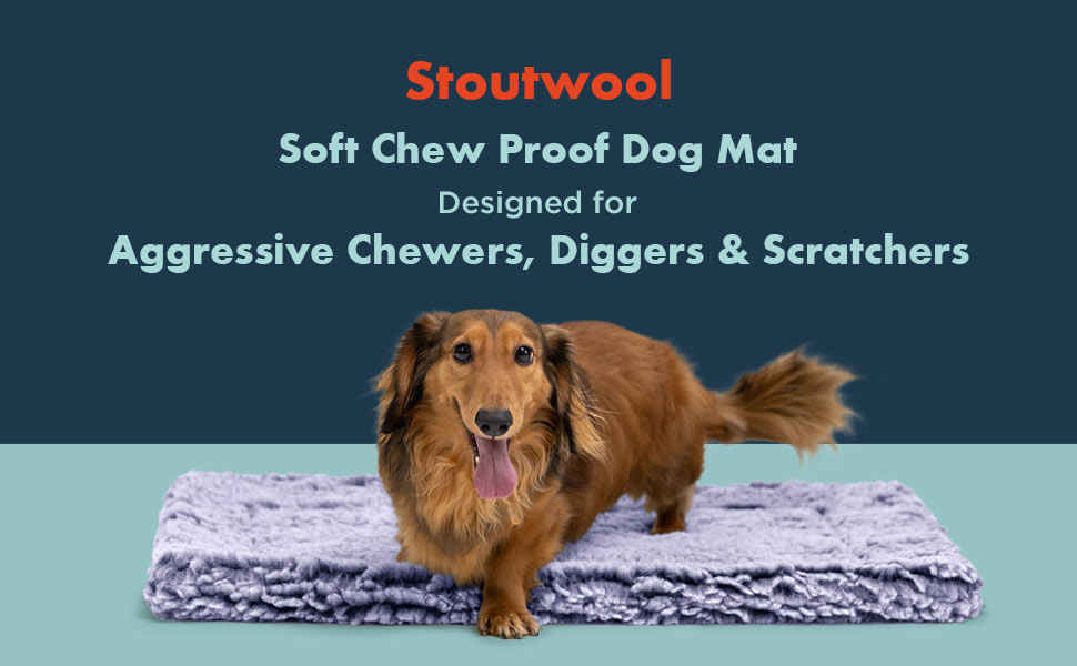 Міцне ліжко для собак Toutwool - стійке до кусання, 3XL, 58x41x5 см, для маленьких порід, Jacaranda