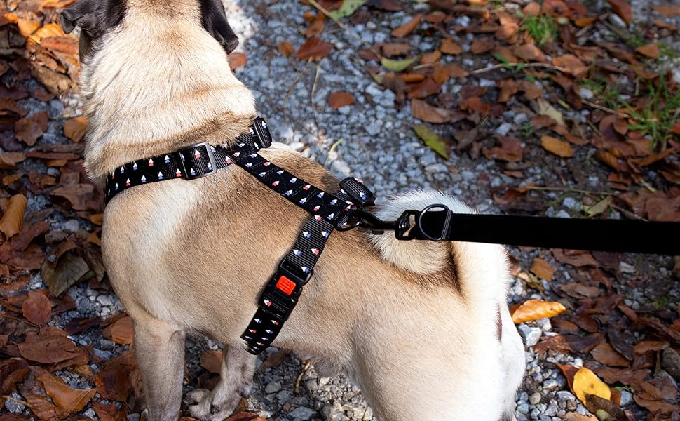 Нашийник Karlie Art Sportiv Plus для собак, розмір L (90-120 см), ширина 25 мм, XL (15 мм), сірий з точками