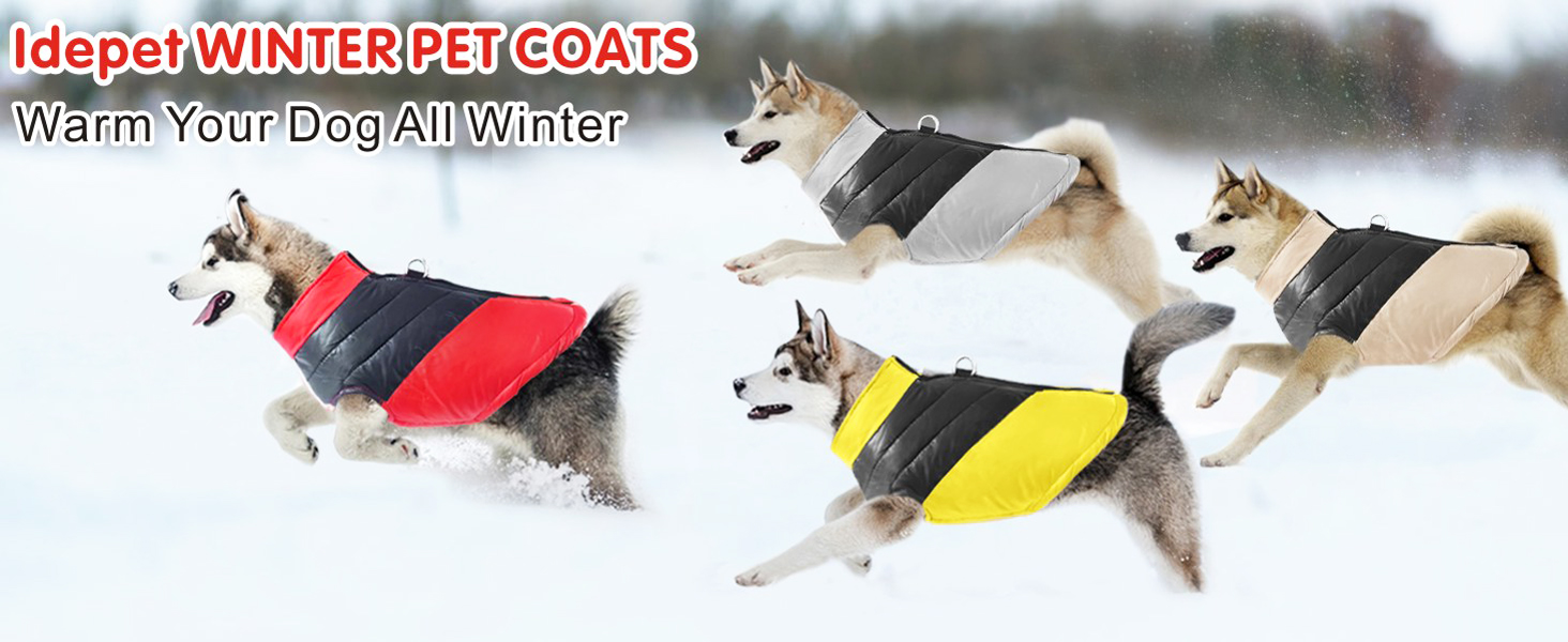 Водонепроникна куртка для собак Idepet: тепла та зручна на осінь/зиму (S, сірий)