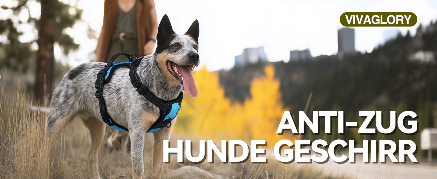 Шлейка для собак VIVAGLORY Easefit, антинатяжна з ручкою, для тренувань та прогулянок, з м'якою підкладкою, анти-вислизання, для собак середніх розмірів, червона, обхват грудей 51-74 см