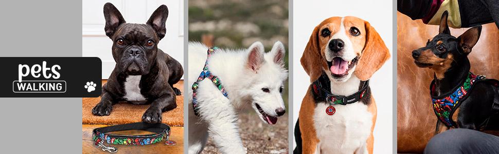 Нашийник для собак Cerdá Life's Little Moments Marvel M/L – офіційний ліцензований товар – регульований нашийник для собак середніх та великих порід – комфортний та міцний – Dog Collar M/L (1 шт.)