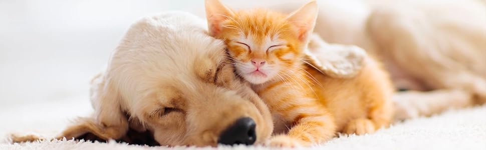 Сумка-переноска для собак та котів Croci Leisure, блакитна, 41x26x17 см