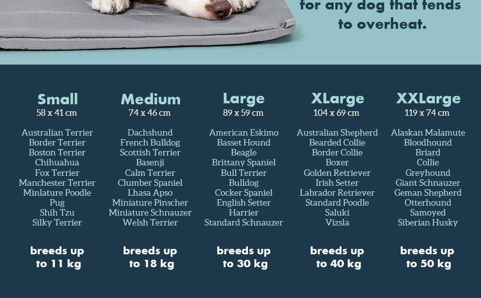 Килимок для собак у переноску Cybarmour - стійкий до гризіння, водонепроникний, великих порід, 89x59 см