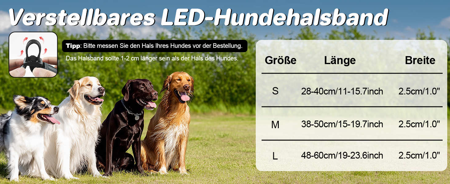 Світлодіодна нашийник для собак Feycig з USB зарядкою - водонепроникний, регульований, 3 режими, для малих, середніх та великих собак (Чорний, L(48-60см))