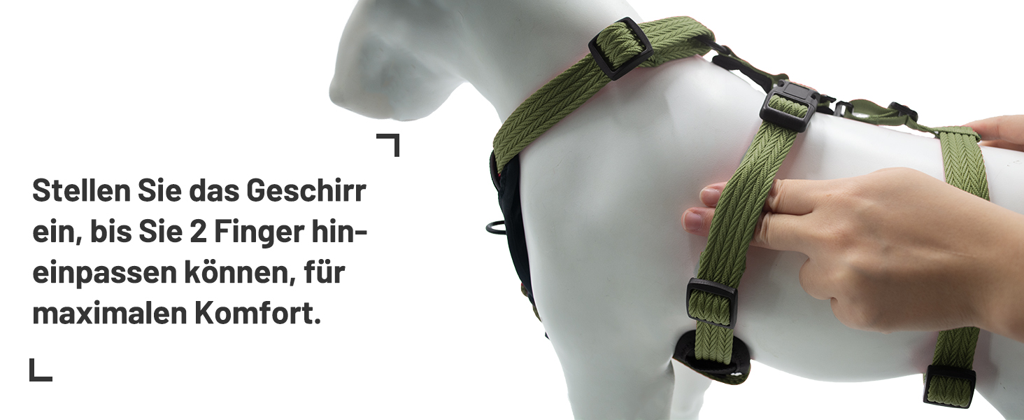 Шлейка для собак Paworld, анти-тяга, шлейка від паніки, анти-вислизання, регульована, дихаюча жилетка для собак маленьких, середніх та великих розмірів (XL) Extra Large (упаковка 1), колір: зелений