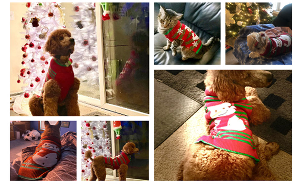 Пуловер для собак з бавовни, костюм для святкування Різдва, теплий зимовий пуловер, костюм для домашнього улюбленця, модна модель, подарунок (XXL, сніговик)