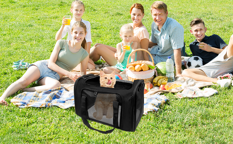 Транспортна сумка для кота та собаки 51x33x33 см. Складана переноска для тварин до 7,5 кг. Підходить для котів, собак, цуценят, маленьких та середніх порід. Ідеальна для подорожей на авто.