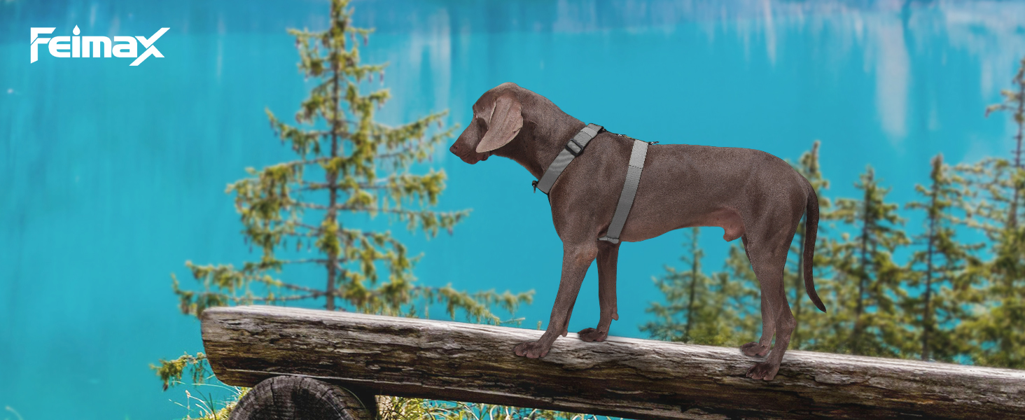 Шлейка для собак FeimaX великих порід, тактична, не тягне, дихаюча, комфортна (XL, сіра)