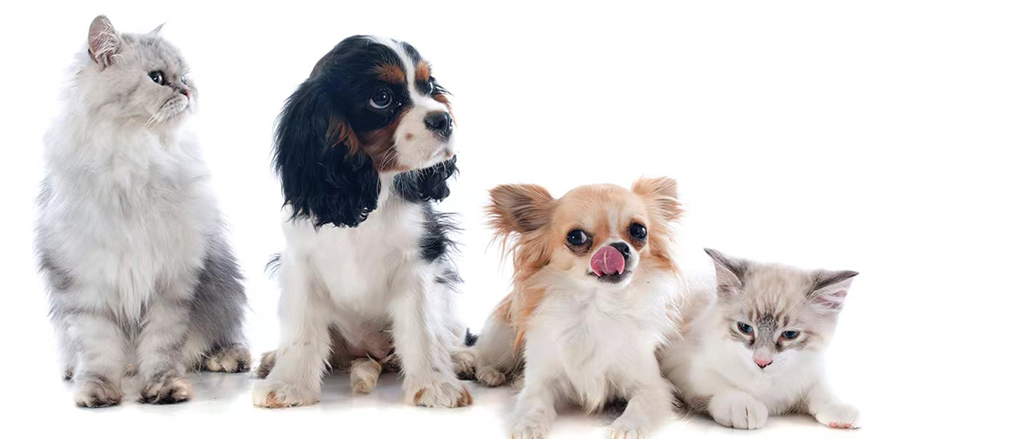 OneCut Професійний триммер для нігтів собак, котів, кроликів та морських свинок, з захистом від надрізання