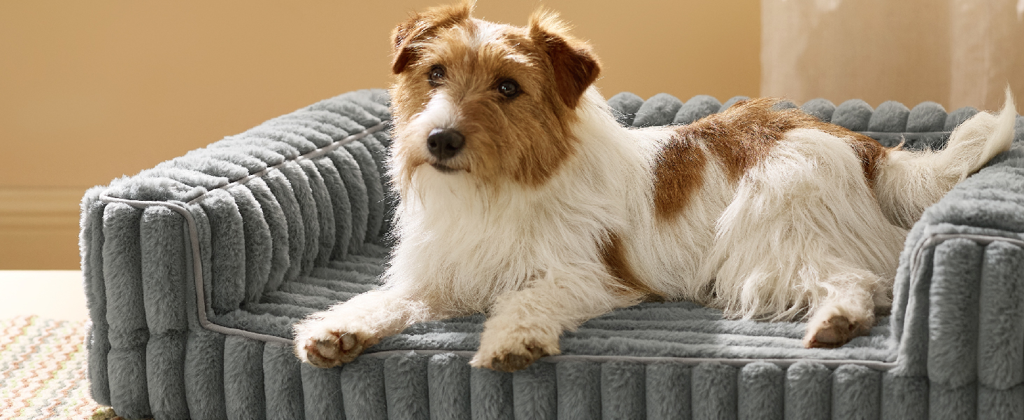 Ортопедичне ліжко для собак середніх порід BEDSURE - 76x51x16.5 см. Водонепроникне диванчик для собак з Memory Foam та Eierkarton-Schaum, знімний Cord-чехол, сірий.