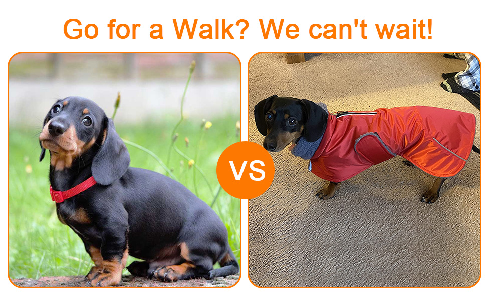 Водонепроникна зимова куртка для собак MOREZI з флісовою підкладкою, з регульованим поясом та світловідбиваючими елементами, для такс та схожих порід - Рожева S (довжина спини: 34-37 см)