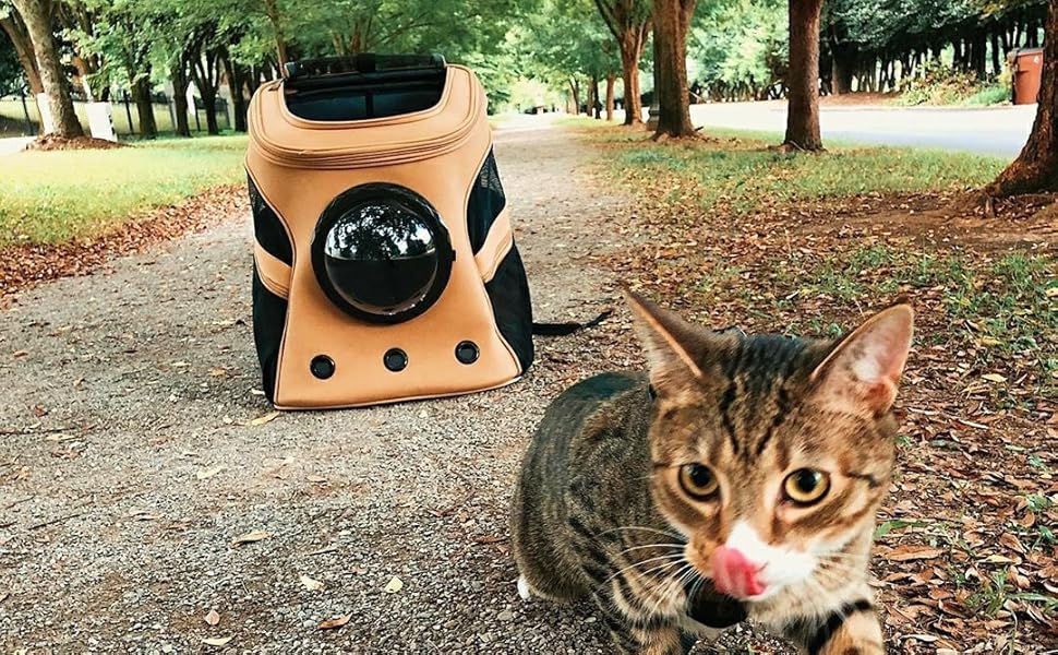 Рюкзак для кота та собаки Lollimeow - великий, для подорожей, Khaki, 38x30x45 см