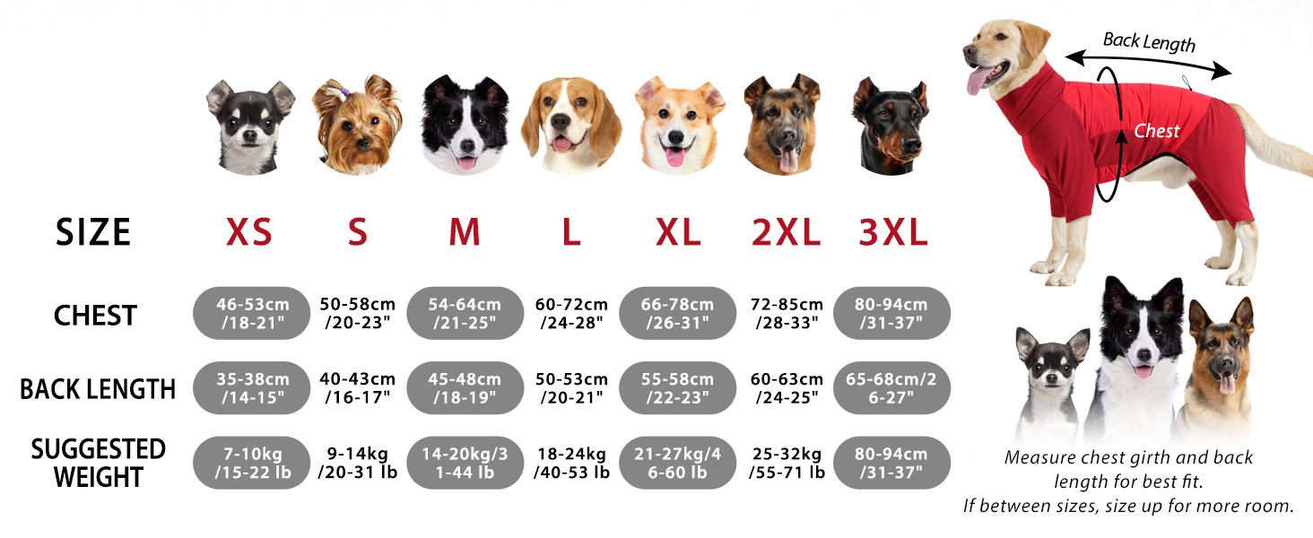 Зимовий теплий одяг для собак Dotoner: теплий комбінезон з флісовою підкладкою, вітронепроникний, з отвором для шлейки, для малих, середніх та великих собак, XL, сірий