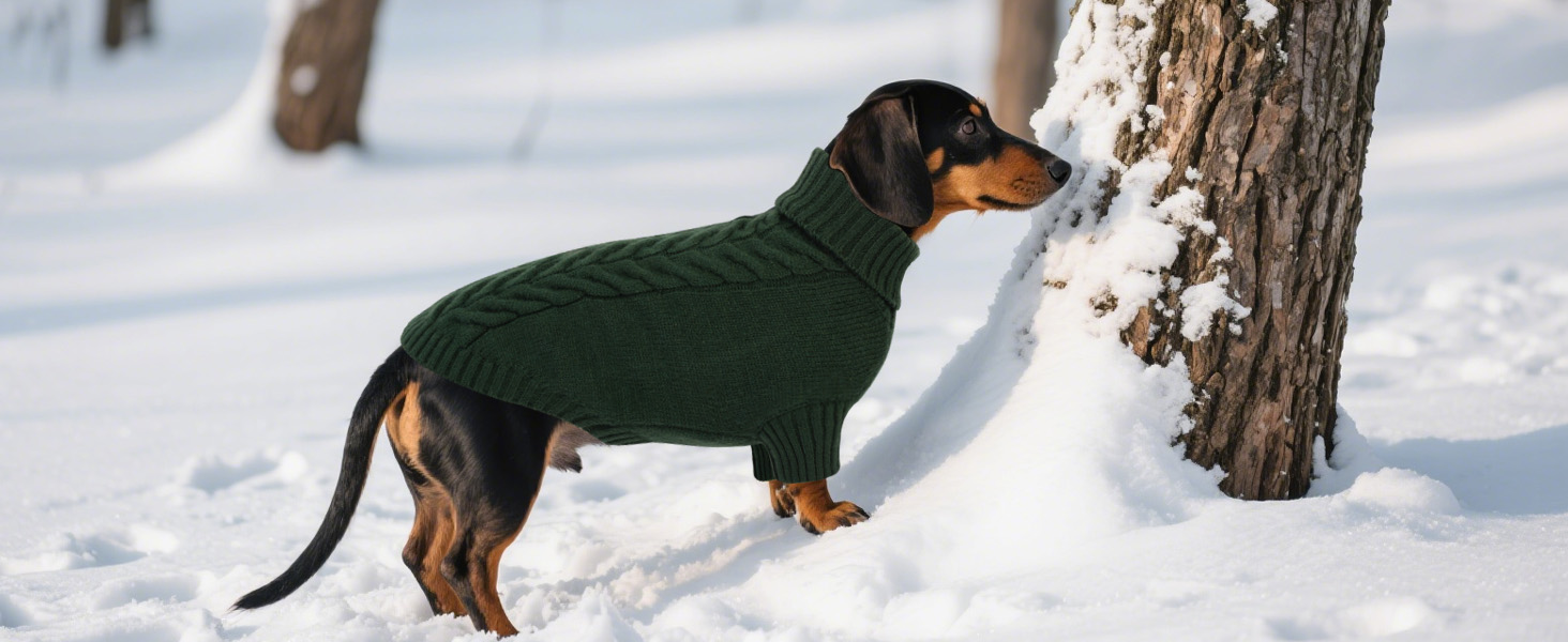 Теплий зимовий пуловер для собак великих порід L, зелений. Пуловер з ворітцем-горловиною, машинного в'язання, для Французького бульдога, Шнауцера, Мальтезе, Бішон Фрізе, Бостон-тер'єра. Легко прати.