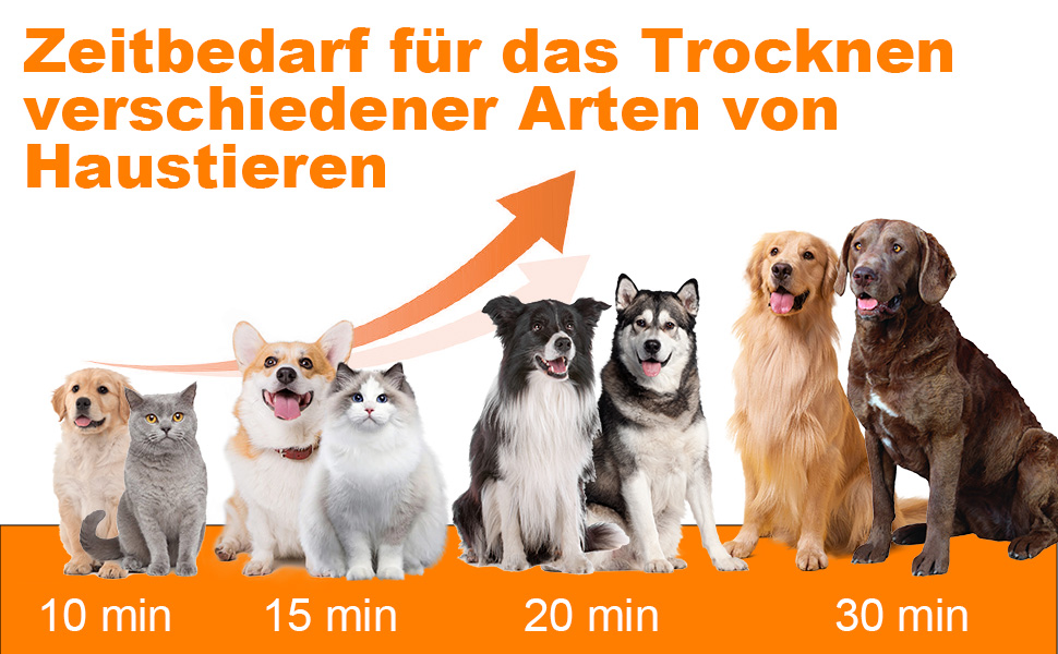 Фен для собак Kanonen-Stil, білий, 2400W, регулювання швидкості та температури, LYCSJDPWH-DE (7 в 1: сушка, пилосос, стрижка)