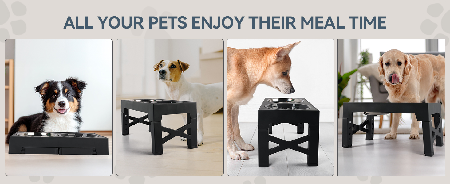 Підвищений годівниця для собак PAWISE, 5 рівнів регулювання, для собак маленьких, середніх та великих порід, з двома великими мисками з нержавіючої сталі, антиковзаюча, BPA free пластик