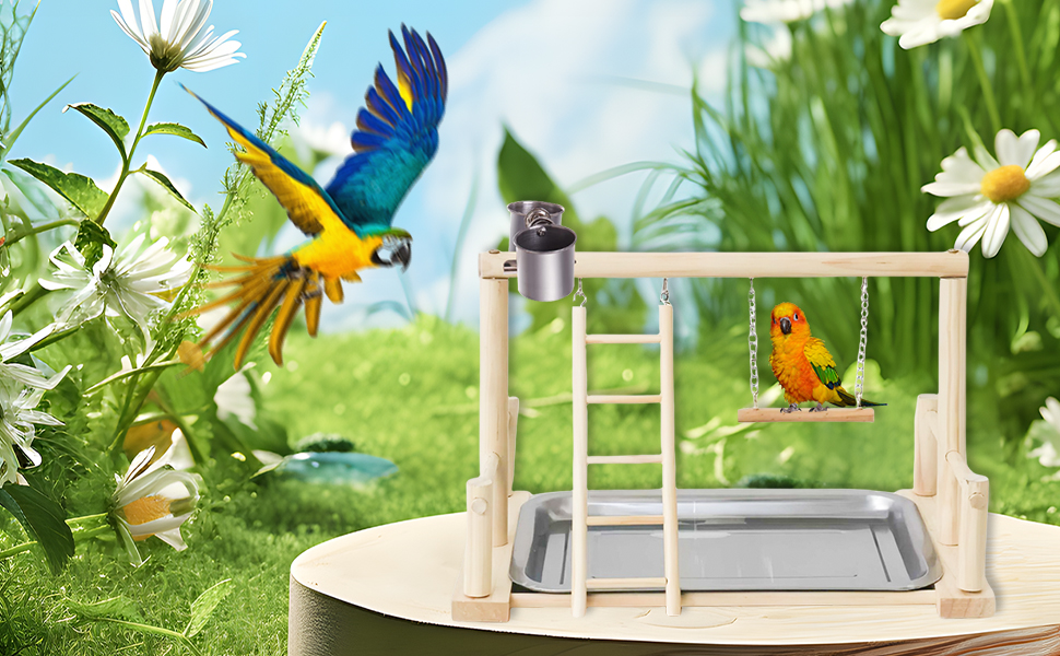 Ігровий комплекс Vogel Spielplatz для хвилястих попугаїв, з нержавіючою чашкою-годівницею, драбиною та підсідалом