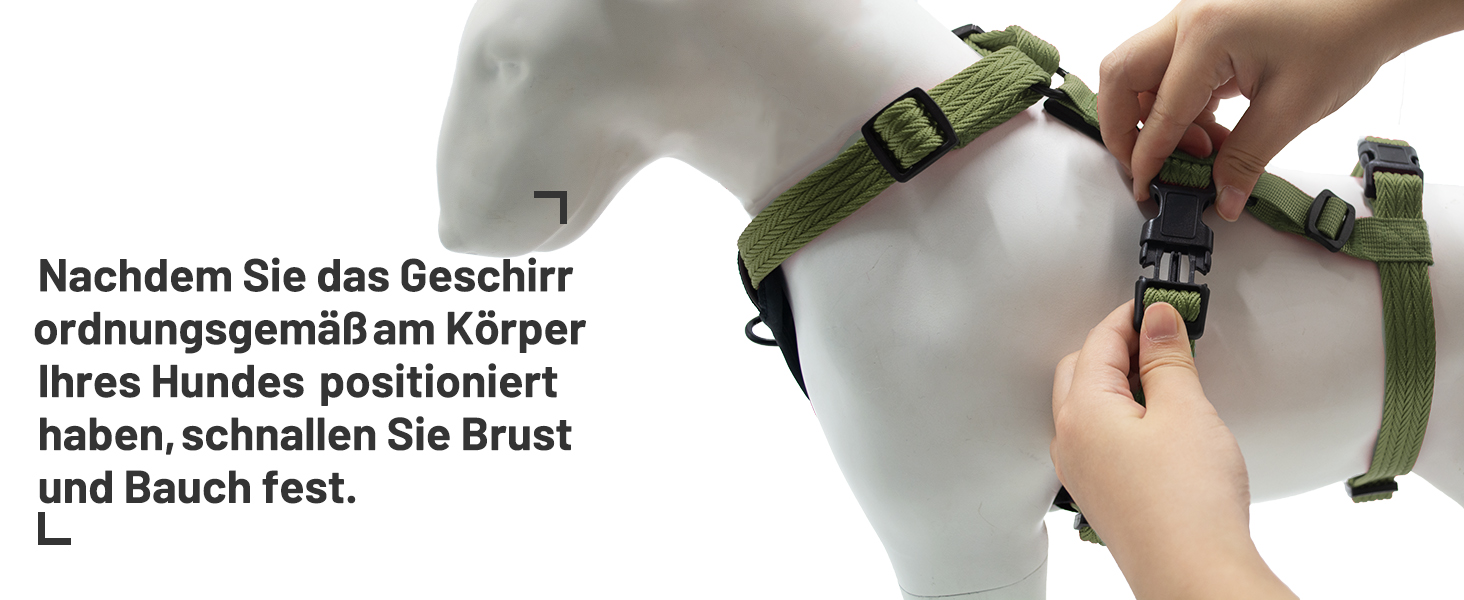 Шлейка для собак Paworld, анти-тяга, шлейка від паніки, анти-вислизання, регульована, дихаюча жилетка для собак маленьких, середніх та великих розмірів (XL) Extra Large (упаковка 1), колір: зелений