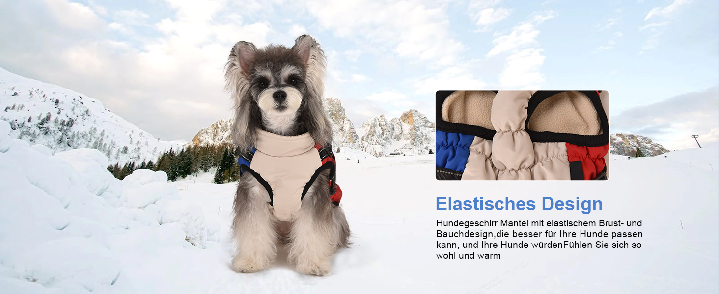 Водонепроникний одяг для собак: теплий зимовий одяг, жилет, куртка для маленьких, середніх та великих собак