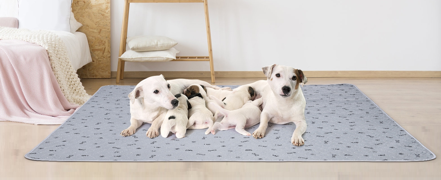 2 шт. вбиральні пелюшки для цуценят, 80х92 см, водонепроникні та миючі. Килимки для навчання собак, неслизька підстилка для дивана та підлоги (2 шт.)