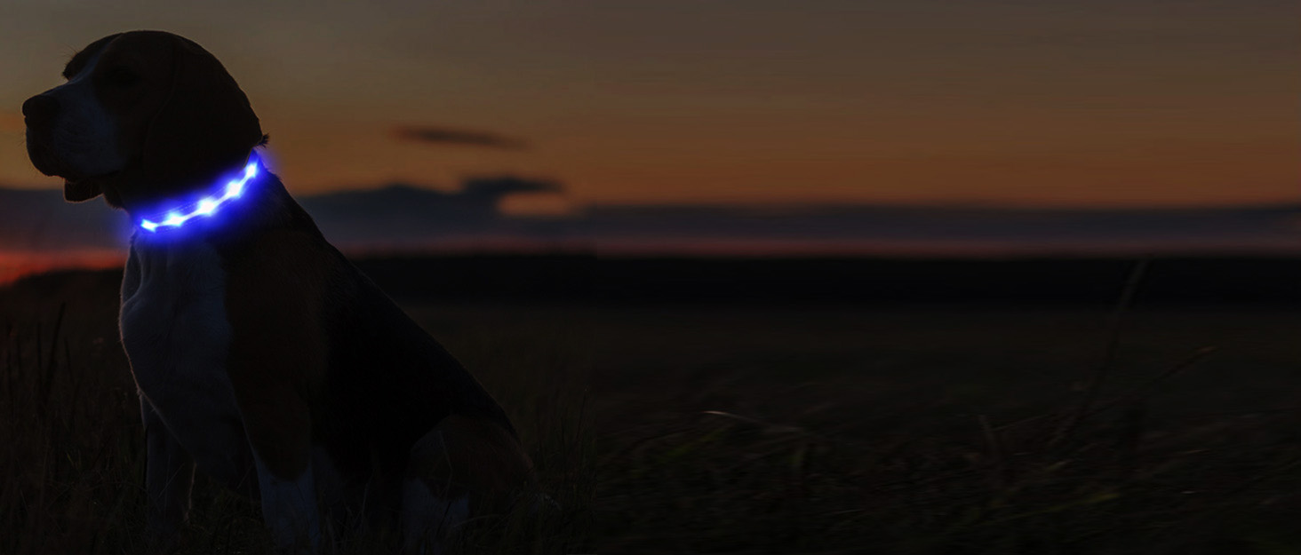 Світлодіодне нашийник для собак Masbrill, світловідбиваючий, водонепроникний, регульований, з 3 світлодіодами, для малих, середніх та великих собак, червоний, L