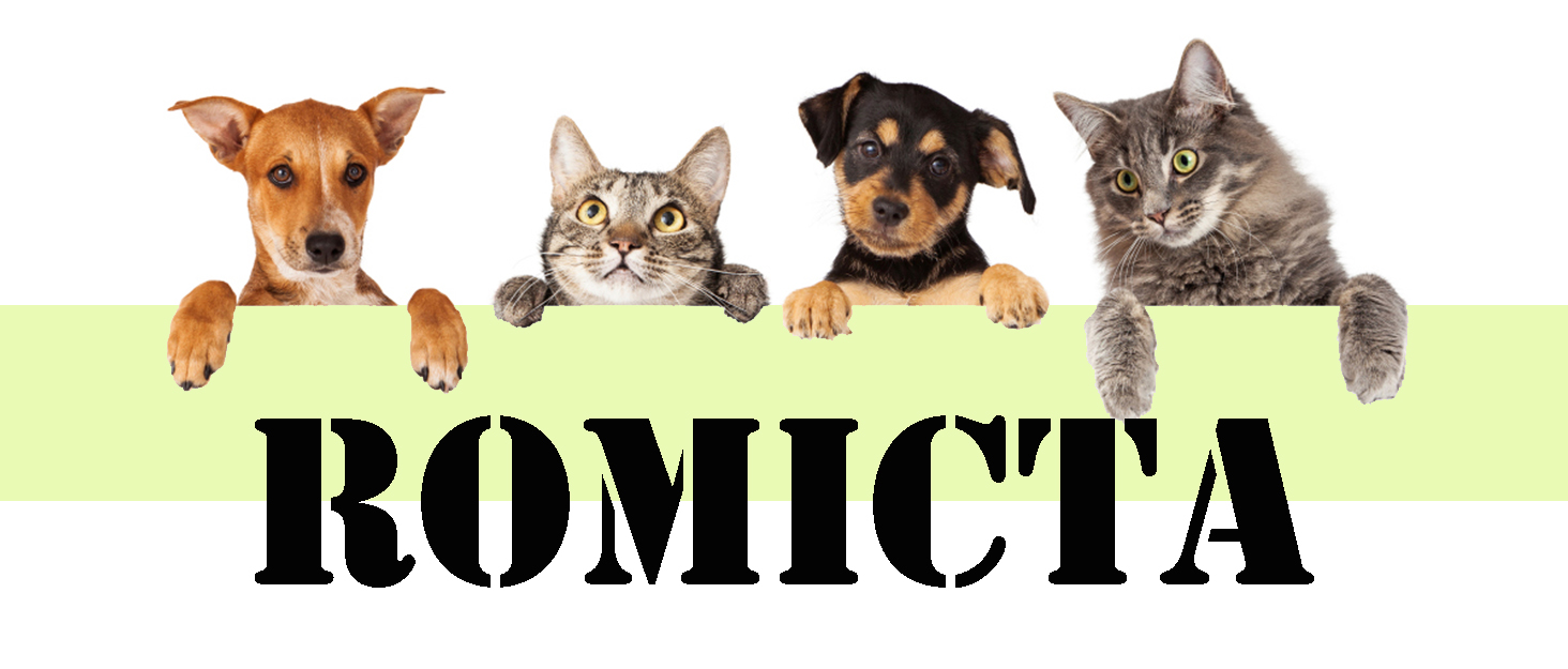 Піднята миска для собаки Romicta, регулюється в 5 напрямках