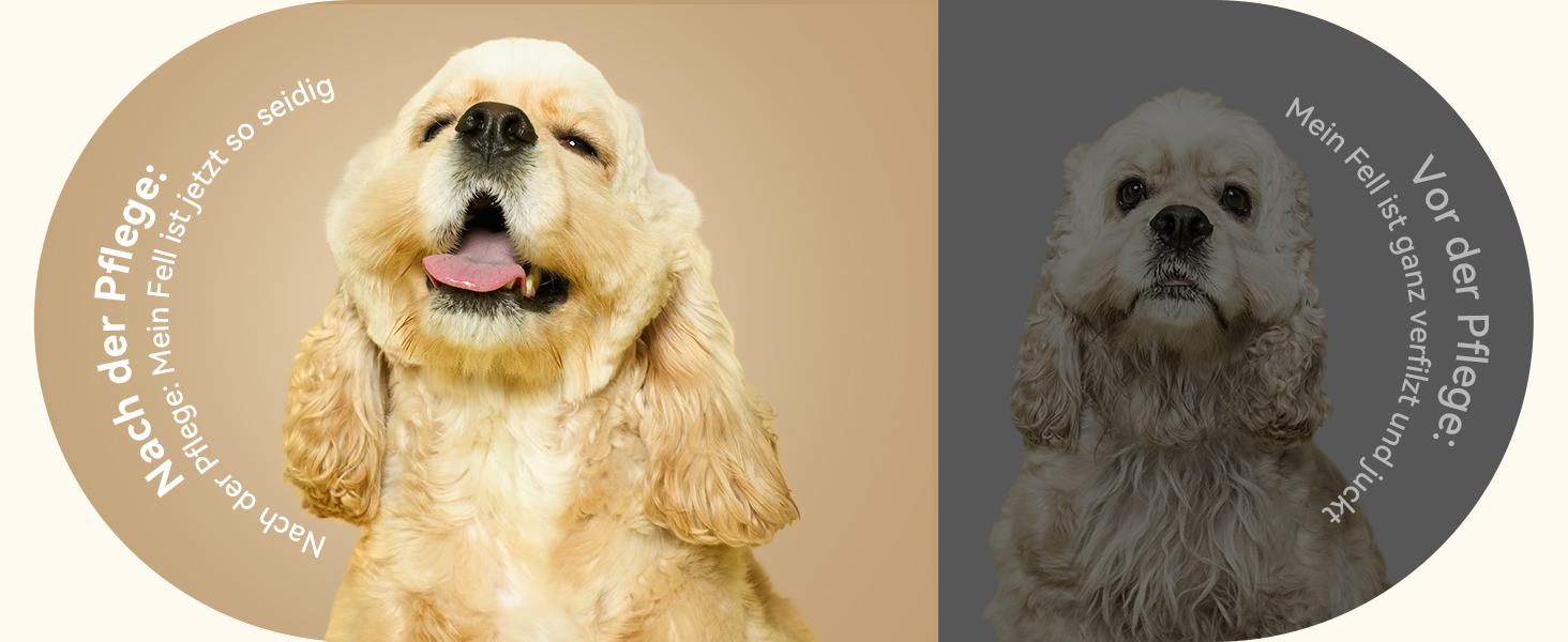 Щітка для вичісування підшерстка собак та котів FEELNEEDY, 4 в 1, для довгошерстих порід, 23+35 зубців, двосторонній спрей, 2 щітки з кожної сторони