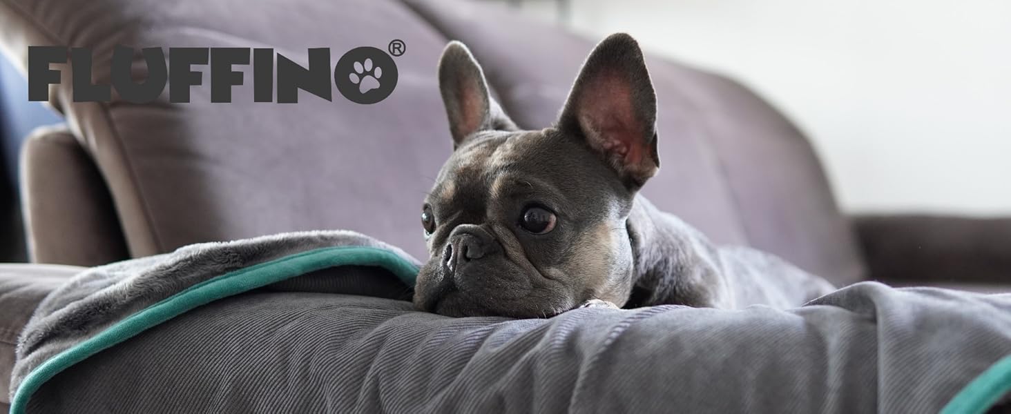 Рушники для собак 2 шт. - 90x50 см, мікрофібра | Швидковисихаючі, надзвичайно поглинаючі, для маленьких та середніх собак, сірий та зелений | Можна прати при 60°C