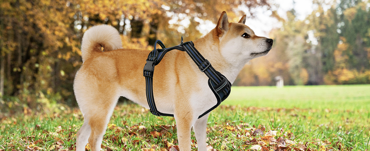 Шлейка для собак середніх порід Bluzelle з ручкою та кишенею для GPS-трекера, світловідбиваюча, зелена (XS, синій)